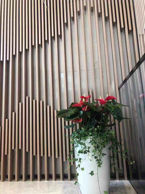 開(kāi)花植物