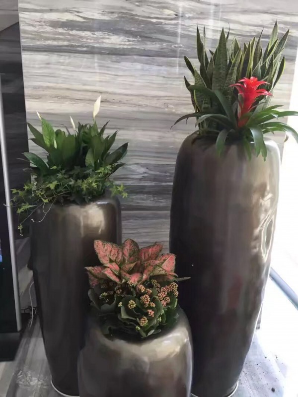 藝術(shù)組合盆景